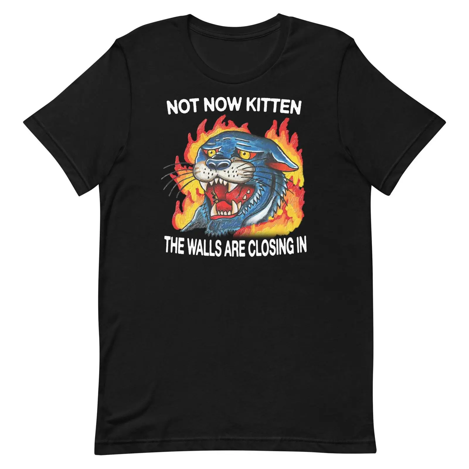 เสื้อยืด Not Now Kitten สไตล์ว - Vintage Fashion Now บทวิจารณ์และราคา